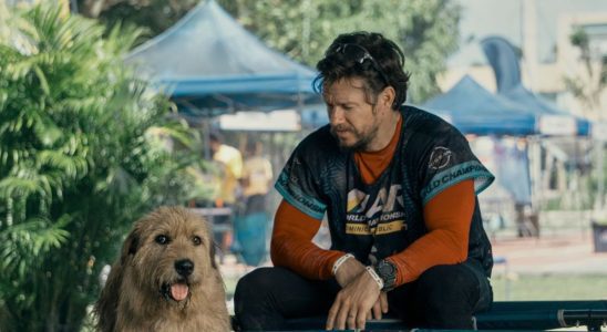 Mark Wahlberg crie au public après avoir donné à son nouveau film sur les chiens, Arthur le roi, un score très élevé pour les tomates pourries