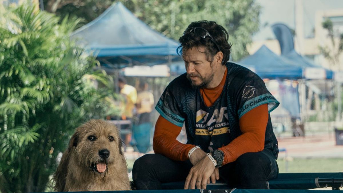 Mark Wahlberg crie au public après avoir donné à son nouveau film sur les chiens, Arthur le roi, un score très élevé pour les tomates pourries
