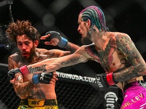 L'actuel champion américain Sean O'Malley (à droite) combat Marlon Vera de l'Équateur lors de son combat de championnat des poids coq de l'UFC au Kaseya Center de Miami, en Floride, le 9 mars 2024.