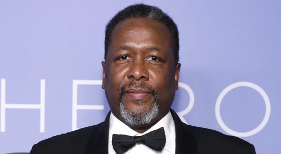 NEW YORK, NEW YORK - MARCH 06: Wendell Pierce attends The Roundabout Gala 2023 at The Ziegfeld Ballroom on March 06, 2023 in New York City. (Photo by John Lamparski/Getty Images)