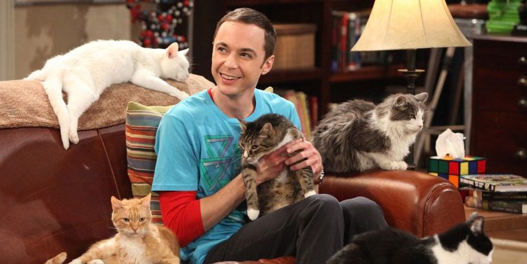 La star de Big Bang Theory dit que le retour de Young Sheldon est "bizarre"
