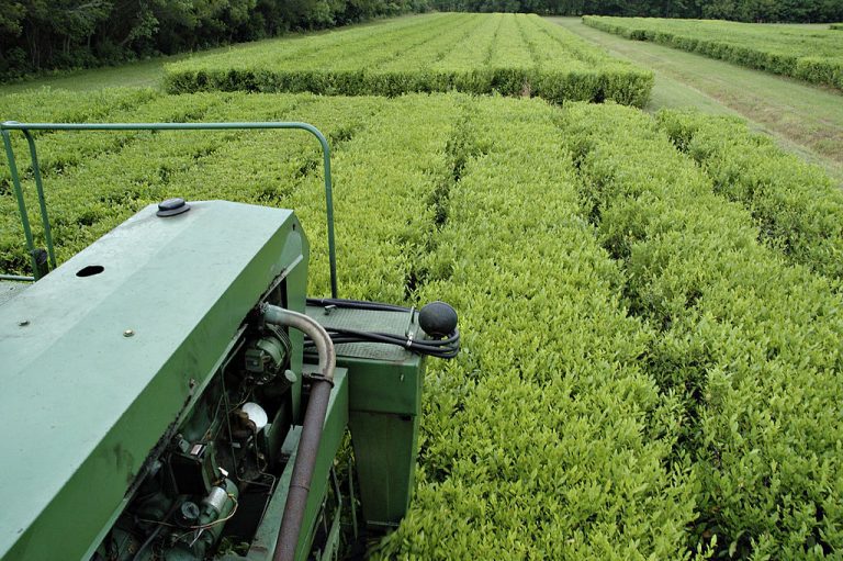 Seso développe un logiciel pour réparer la main-d’œuvre agricole et résoudre les problèmes de ressources humaines de l’agriculture