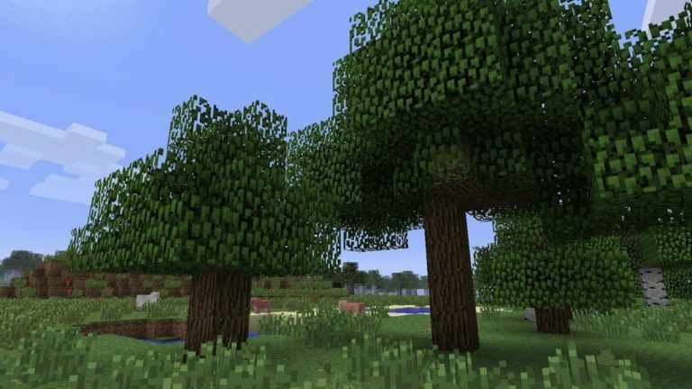 Aléatoire : le film Minecraft mettra en vedette des arbres, croyez-le ou non
