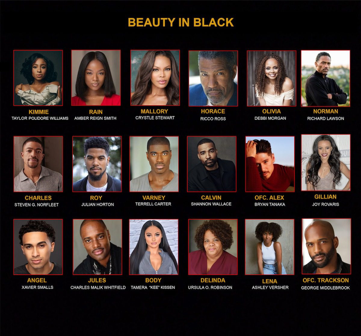 Beauty in Black TV Show on Netflix: canceled or renewed?