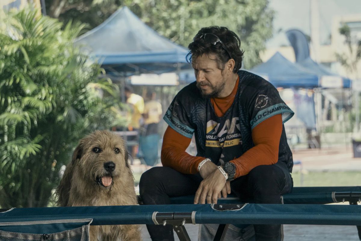 Un homme assis dehors à côté d’un chien.