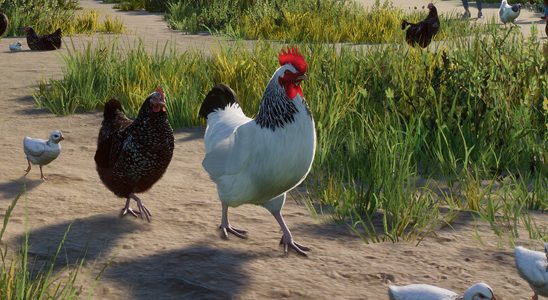 Planet Zoo devient Planet Petting Zoo dans le DLC récemment annoncé