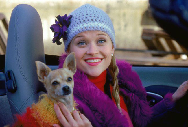 Émission télévisée « Legally Blonde » sur Amazon Prime Video, Reese Witherspoon