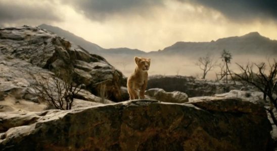 Mufasa : Les images du Roi Lion taquinent une histoire de lion qui se transforme en richesse du lion [CinemaCon 2024]