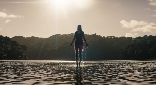 Un autre film Evil Dead trouve un réalisateur alors que la franchise d'horreur continue de croître