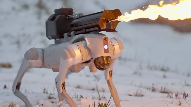 Vous pouvez désormais acheter un chien robotique brandissant un lance-flammes pour moins de 10 000 $ – et c'est légal dans 48 États américains
