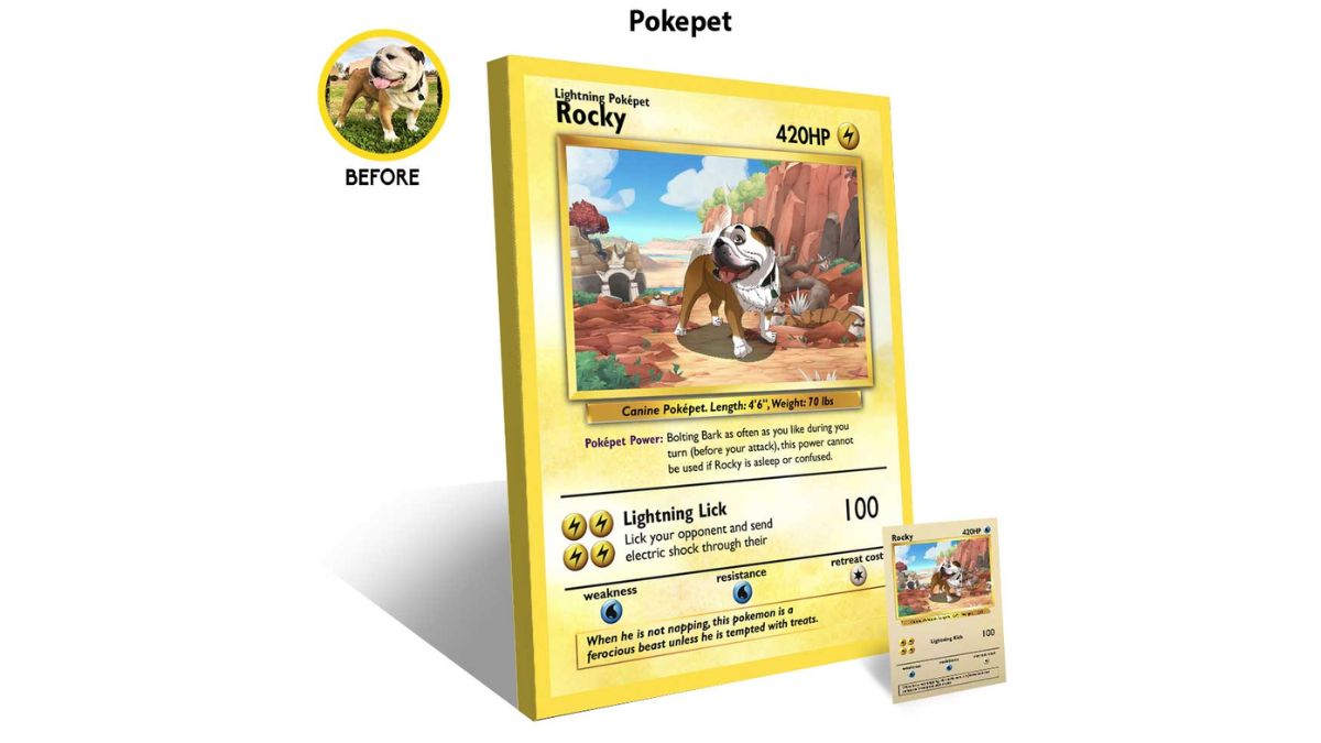 Photo d'une carte de style Pokémon comportant une photo d'un chien 