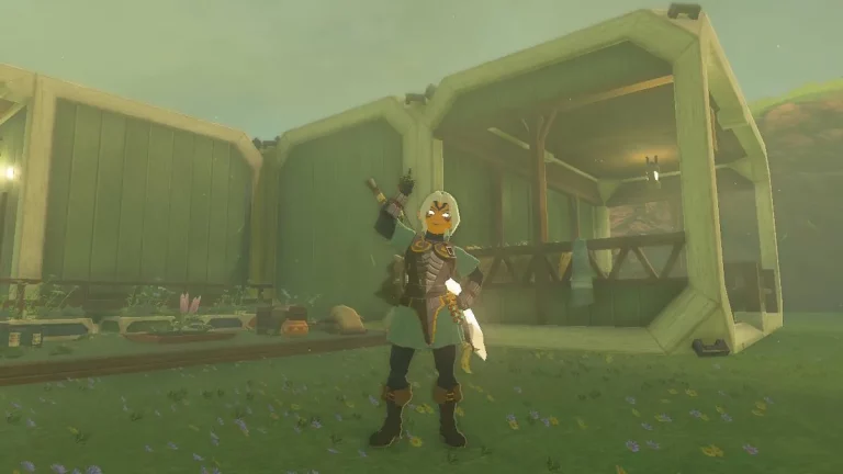 Link in the Fierce Deity Armor