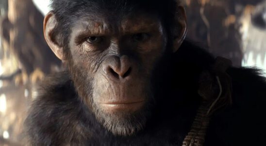 Le réalisateur de Kingdom Of The Planet Of The Apes révèle la seule demande du studio pour le film [Exclusive Interview]