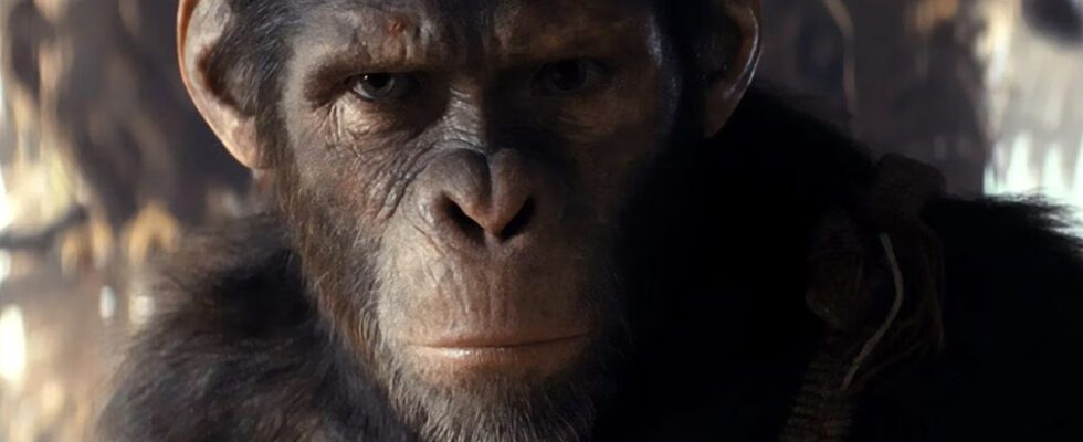 Le réalisateur de Kingdom Of The Planet Of The Apes révèle la seule demande du studio pour le film [Exclusive Interview]