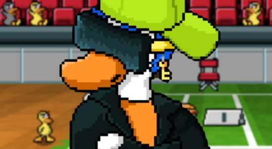 Duck Game « est sûr », confirme un développeur indépendant après les craintes de suppression de Steam