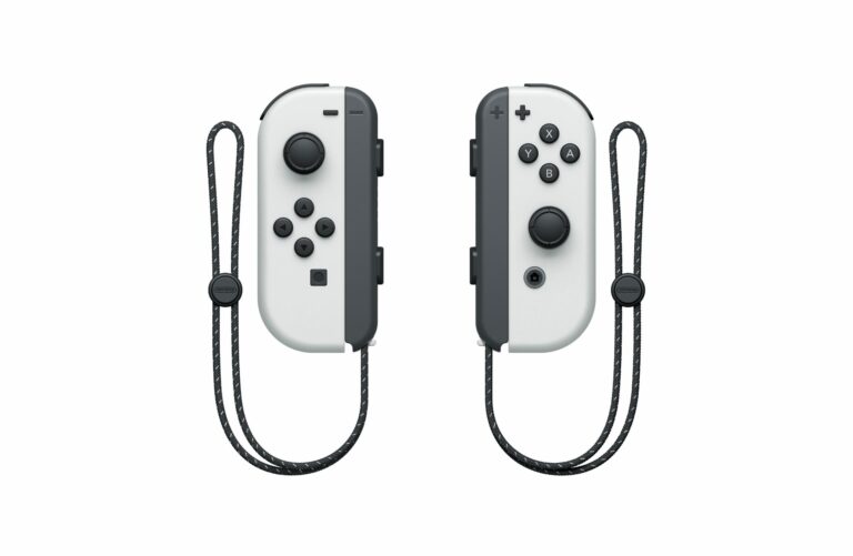 Deux poursuites importantes contre la dérive des Joy-Con sur Switch ont été rejetées
