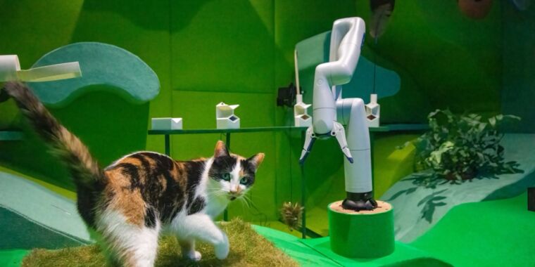 Des chats jouant avec des robots constituent une combinaison gagnante dans une nouvelle installation artistique