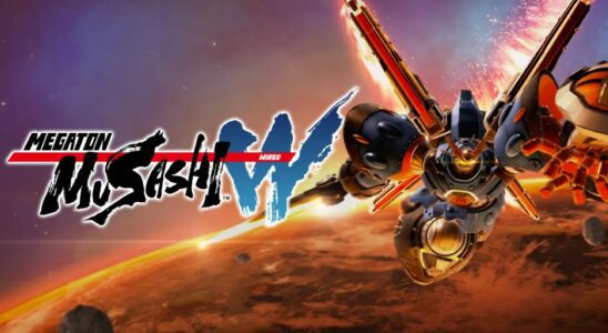 Critique : Megaton Musashi W : Filaire