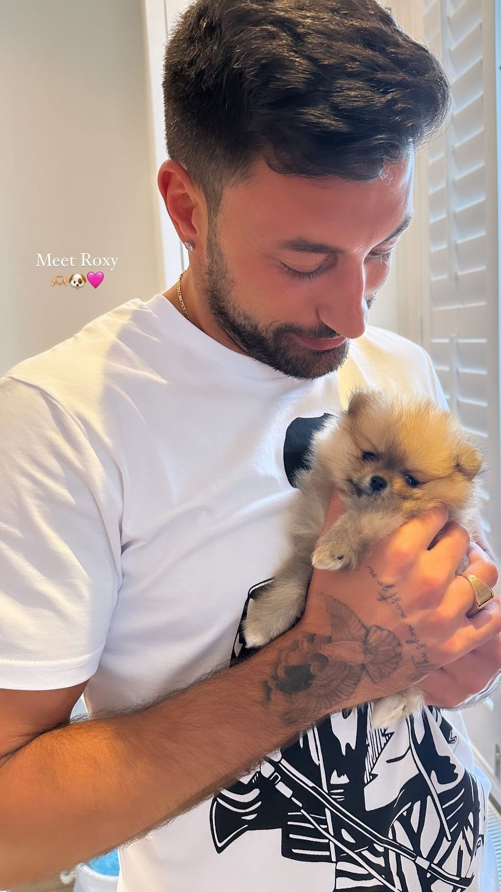 Giovanni Pernice tient le chiot Roxy