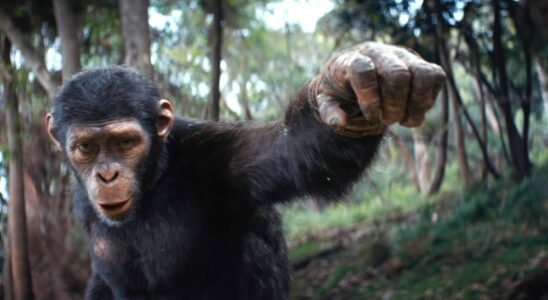 La fin du « Royaume de la planète des singes » expliquée : quelle est la prochaine étape dans la nouvelle trilogie ?  Les plus populaires À lire absolument Inscrivez-vous aux newsletters variées Plus de nos marques