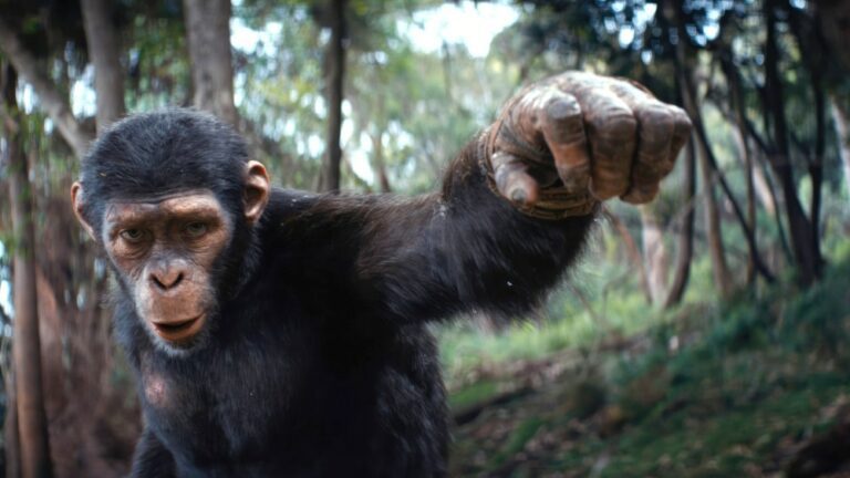  La fin du « Royaume de la planète des singes » expliquée : quelle est la prochaine étape dans la nouvelle trilogie ?  Les plus populaires À lire absolument Inscrivez-vous aux newsletters variées Plus de nos marques
	
	
