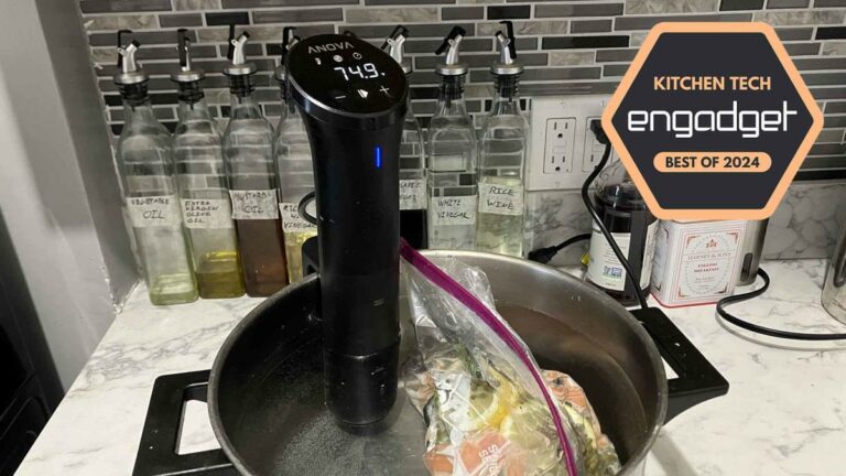 Les machines sous vide ne sont pas de la haute cuisine, ce sont des mijoteuses du millénaire – et c’est pourquoi elles sont parfaites