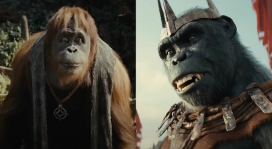 Side-by-side pictures of Raka and Proximus Caesar from Kingdom of the Planet of the Apes