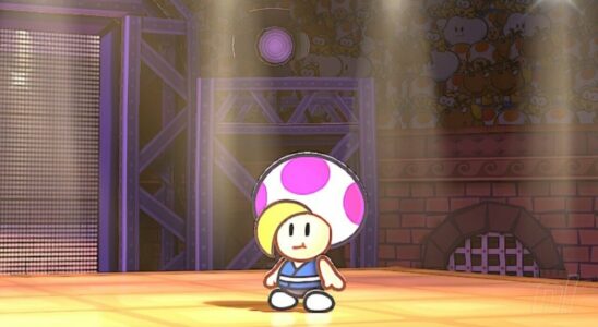 Paper Mario : La Porte Millénaire : Comment vaincre le prince Mush