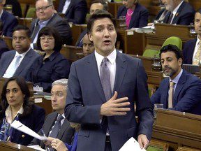 Rahim Mohamed: Justin Trudeau porte un chapeau en papier d’aluminium pour « Diagolon »