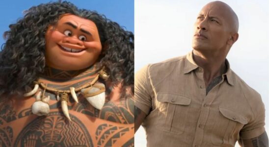 Maui wearing a cocky smile in Moana and Dwayne Johnson standing confidently in the sun in Jumanji: Welcome to the Jungle, side by side.