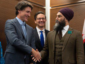 Trudeau et Singh ont mené leurs partis aux sondages les plus bas depuis 50 ans (étude)