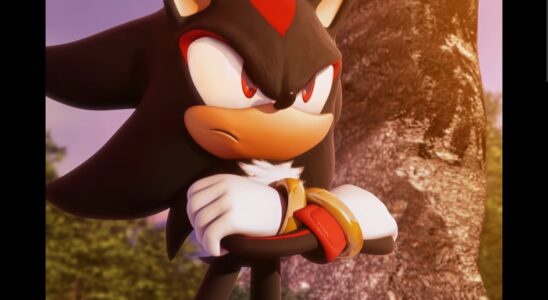 Shadow the Hedgehog devait être classé M avec des bombes F