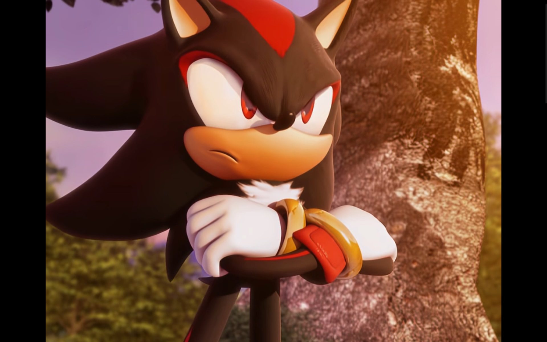 Shadow the Hedgehog devait être classé M avec des bombes F
