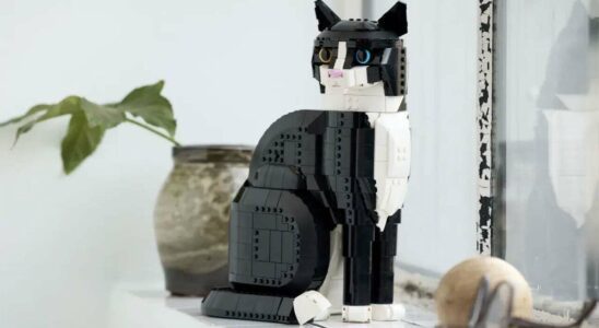 Un nouvel ensemble Lego vous permet de construire un chat portant un smoking