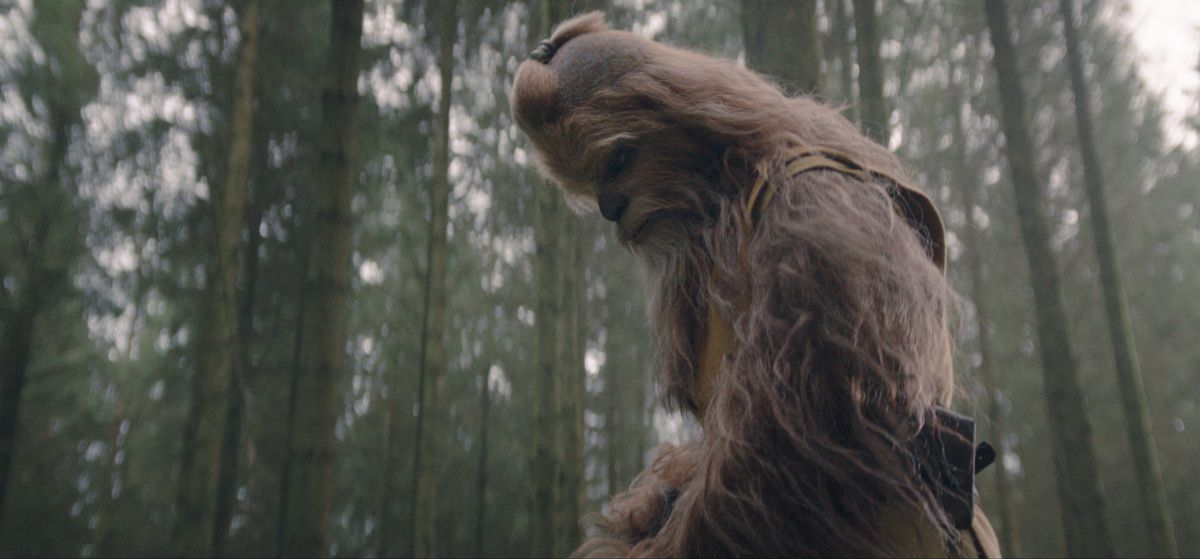 Le Maître Jedi Kelnacca (Joonas Suotamo) regarde dans une forêt