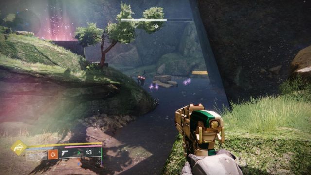 bourreau et ennemis liés en pleine floraison dans Destiny 2 la forme finale