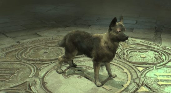 Comment réclamer votre chien gratuit dans Diablo 4