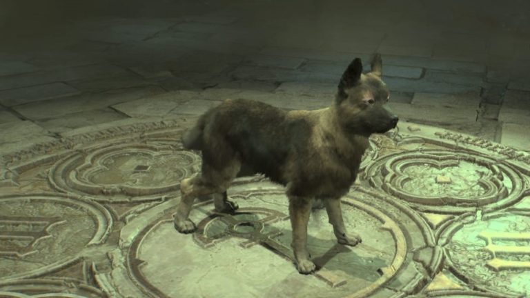 Comment réclamer votre chien gratuit dans Diablo 4
