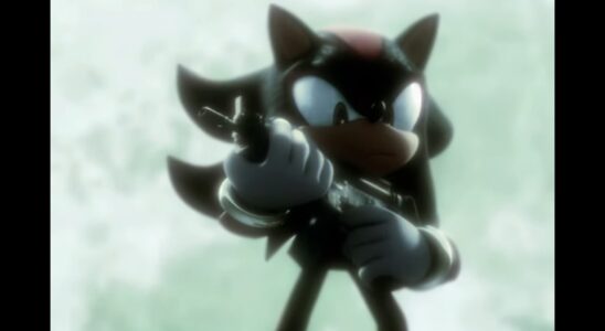 Shadow the Hedgehog "n'a pas vraiment besoin d'une arme"