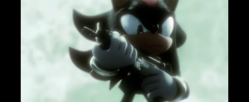 Shadow the Hedgehog "n'a pas vraiment besoin d'une arme"