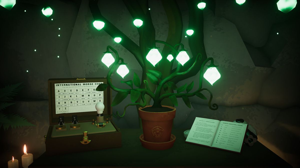 Une plante lumineuse poussant dans une grotte du Botany Manor.  À côté se trouve un guide du code morse.