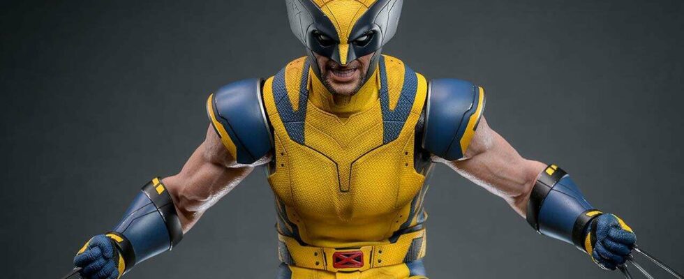 Cet objet de collection Wolverine de Hot Toys va assassiner vos figurines d'action Deadpool, Bub