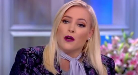 Meghan McCain on The View.