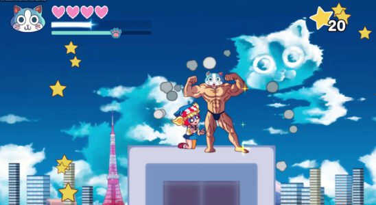 Super Muscle Cat annoncé sur Nintendo Switch