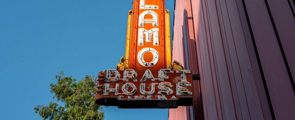 Alamo Drafthouse reprend les cinémas franchisés en faillite au Texas et au Minnesota Plus de Variety Les plus populaires À lire absolument Inscrivez-vous aux bulletins d'information de Variety Plus de nos marques