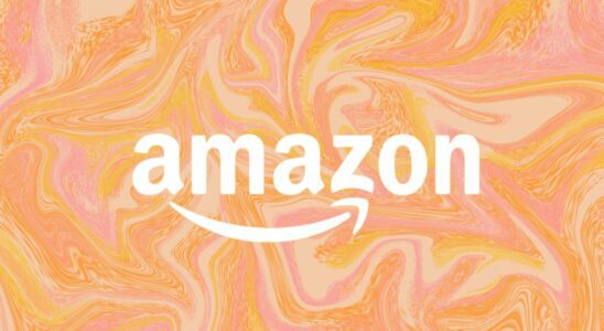 Amazon abandonne le plastique dans ses emballages en Amérique du Nord