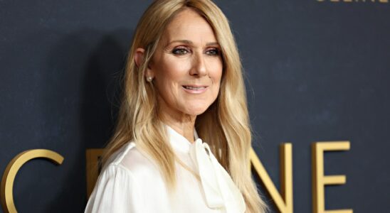 Céline Dion est émue après une standing ovation à la première de "Je suis : Céline Dion" : "J'espère vous revoir très, très bientôt" Plus de Variety Les plus populaires À lire absolument Abonnez-vous aux newsletters de Variety Plus de nos marques