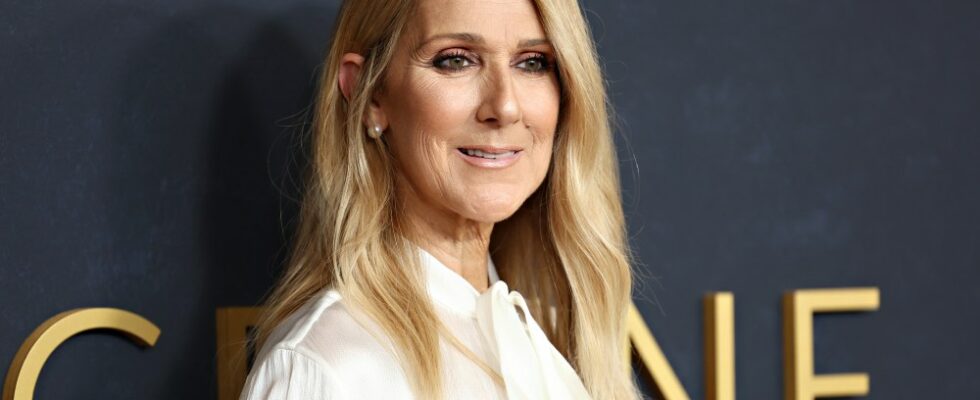 Céline Dion est émue après une standing ovation à la première de "Je suis : Céline Dion" : "J'espère vous revoir très, très bientôt" Plus de Variety Les plus populaires À lire absolument Abonnez-vous aux newsletters de Variety Plus de nos marques