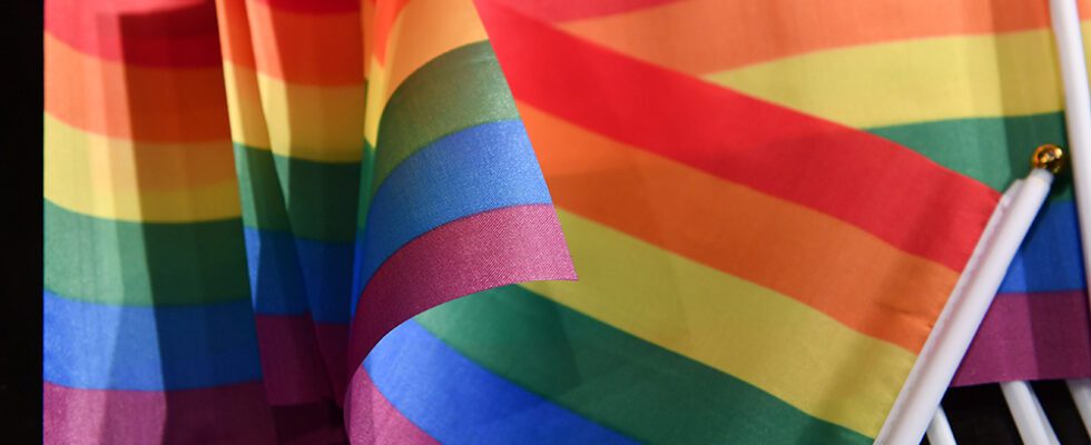 01 July 2020, Berlin: Rainbow flags are lying on a table at a press tremor for the presentation of the Pride collection in the Hard Rock Cafe. Photo by: Jens Kalaene/picture-alliance/dpa/AP Images