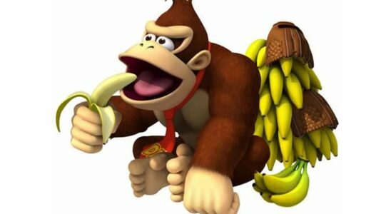 Donkey Kong aurait pu s'appeler Kong Dong, selon des documents judiciaires de Nintendo